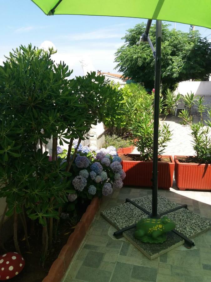 Ml Apartman Сень Экстерьер фото