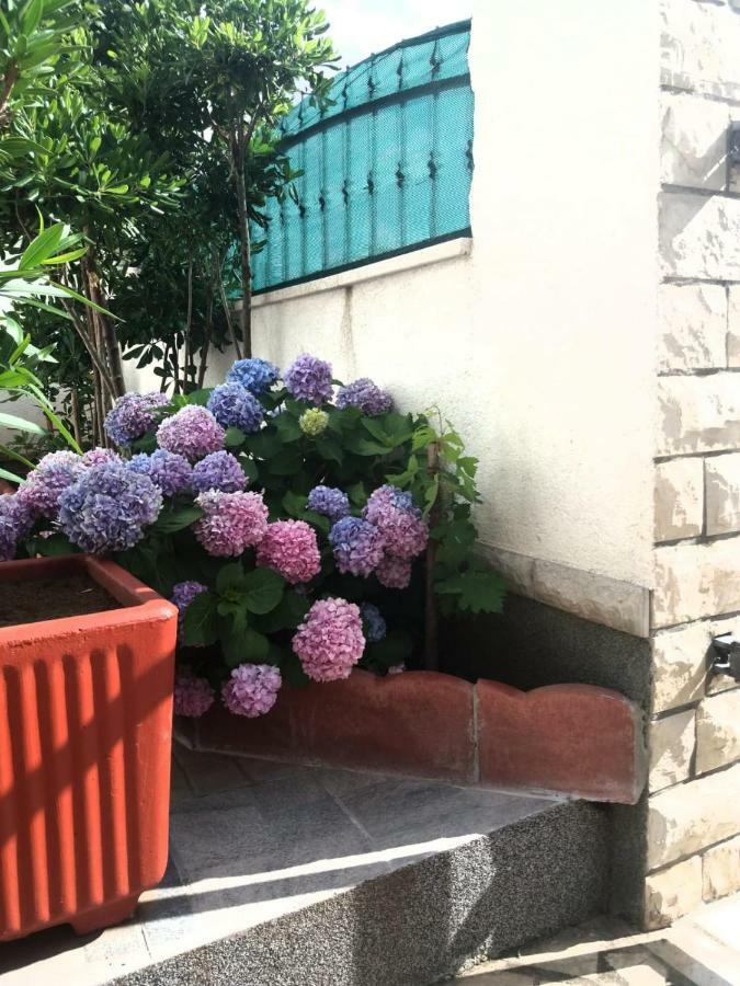 Ml Apartman Сень Экстерьер фото
